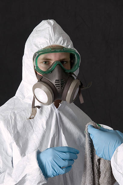 Biohazard Mold Removal in Leadville, CO